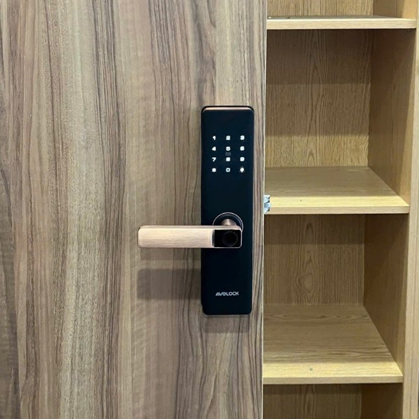 Khóa cửa vân tay AVOLOCK AV 60 (Đen / Đồng) chính hãng