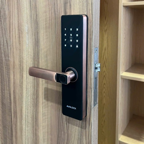 Khóa cửa vân tay AVOLOCK AV 60 (Đen / Đồng) chính hãng - chi tiết