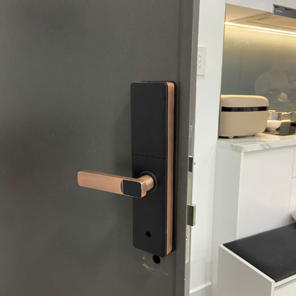 Khóa cửa vân tay AVOLOCK AV 60 (Đen / Đồng) chính hãng - phụ kiện