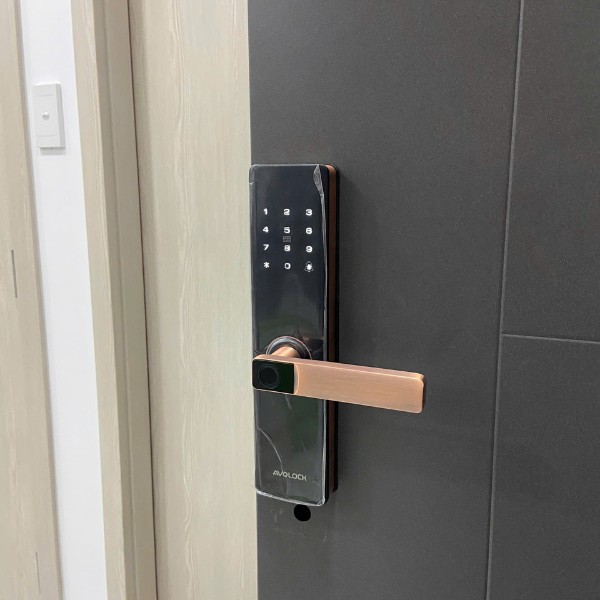 Khóa cửa vân tay AVOLOCK AV 60 (Đen / Đồng) chính hãng - thông số kỹ thuật