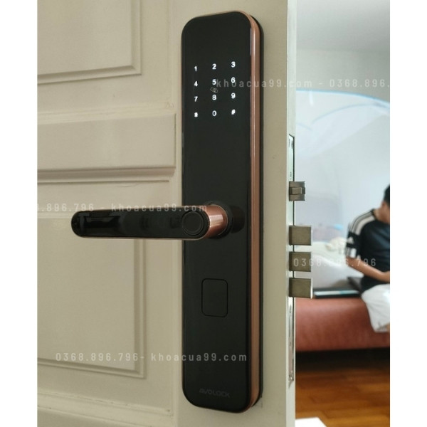 Khóa cửa vân tay Avolock AV65 R