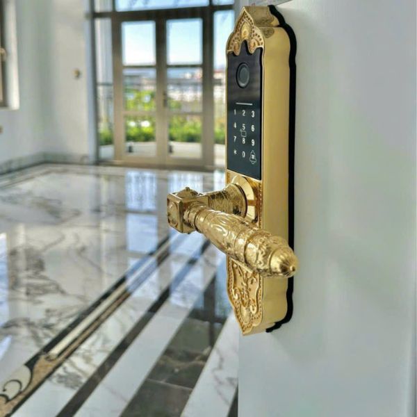 Khóa cửa vân tay Kardos SmartLock C202 Vàng - mặt sau