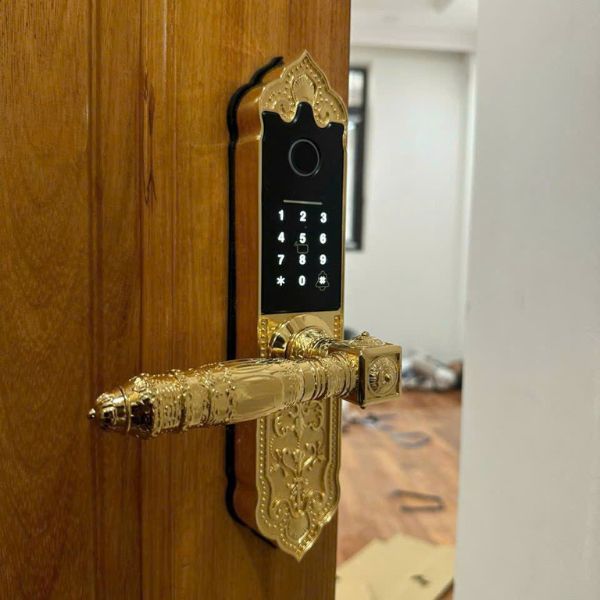 Khóa cửa vân tay Kardos SmartLock C202 Vàng - chi tiết