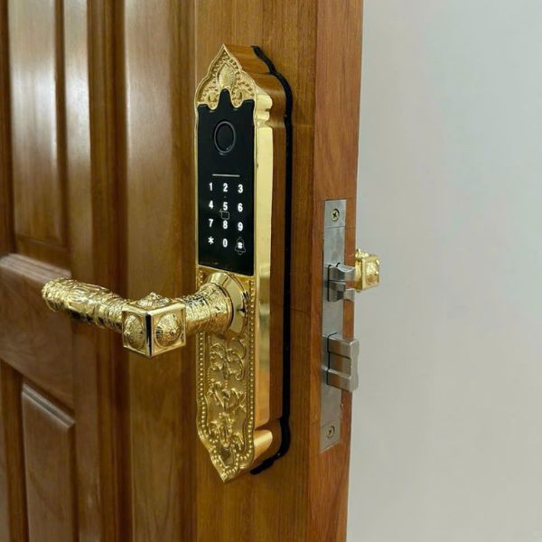 Khóa cửa vân tay Kardos SmartLock C202 Vàng - lắp đặt thực tế