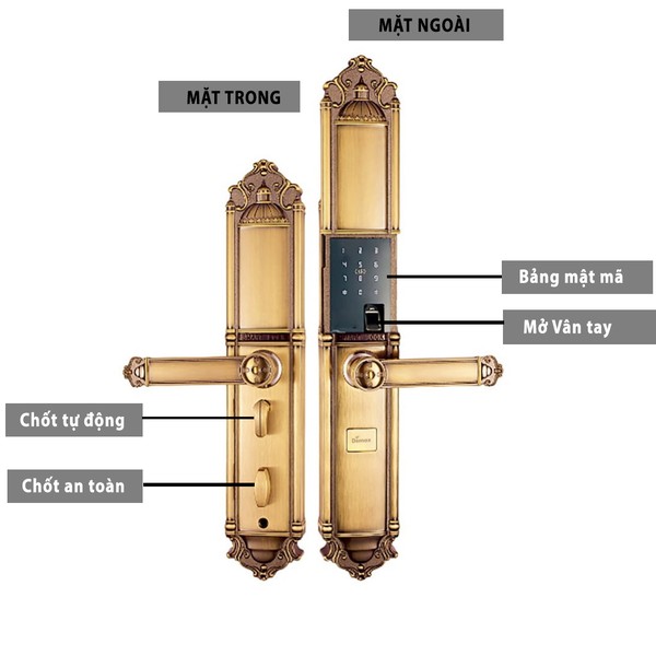 Khóa vân tay đại sảnh biệt thự Demax EL822 chính hãng - lắp đặt thực tế