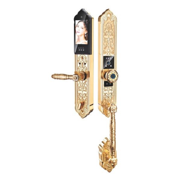 Khóa cửa vân tay Kardos SmartLock DS 611 Pro Face ID 3D chính hãng tại HCM