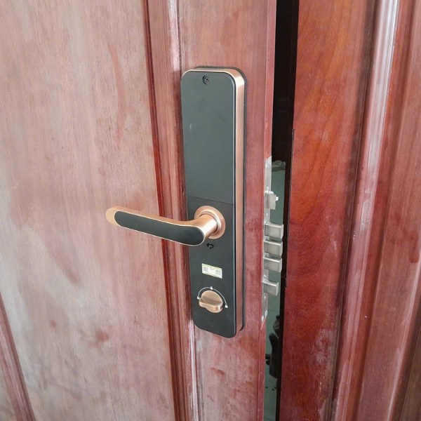 Khóa cửa vân tay Kassler KL696 Viền đồng đỏ, App Wifi, chống nước IP68