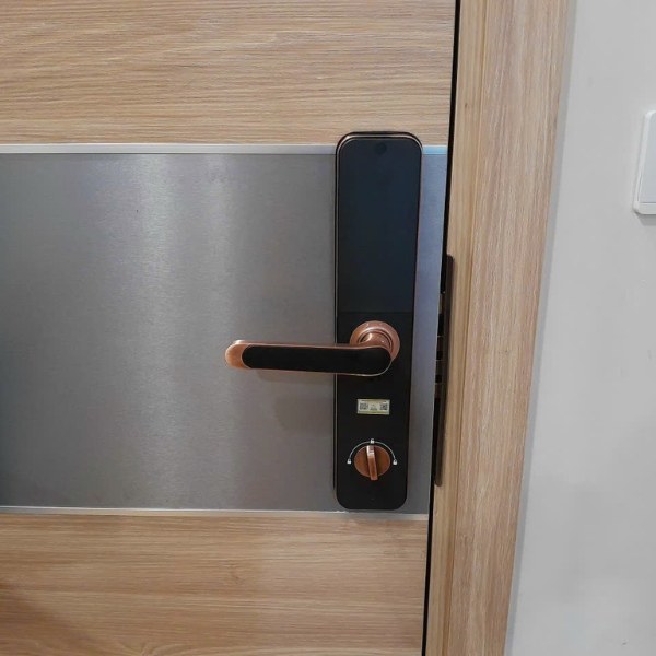 Khóa cửa vân tay Kassler KL696 Viền đồng đỏ, App Wifi, chống nước IP68
