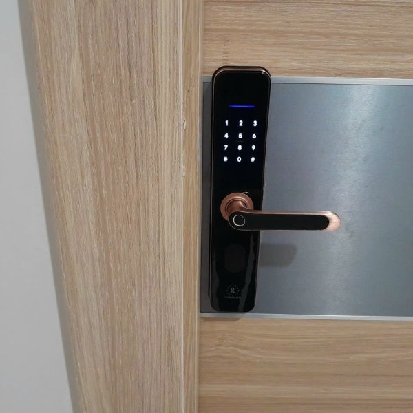 Khóa cửa vân tay Kassler KL696 Viền đồng đỏ, App Wifi, chống nước IP68