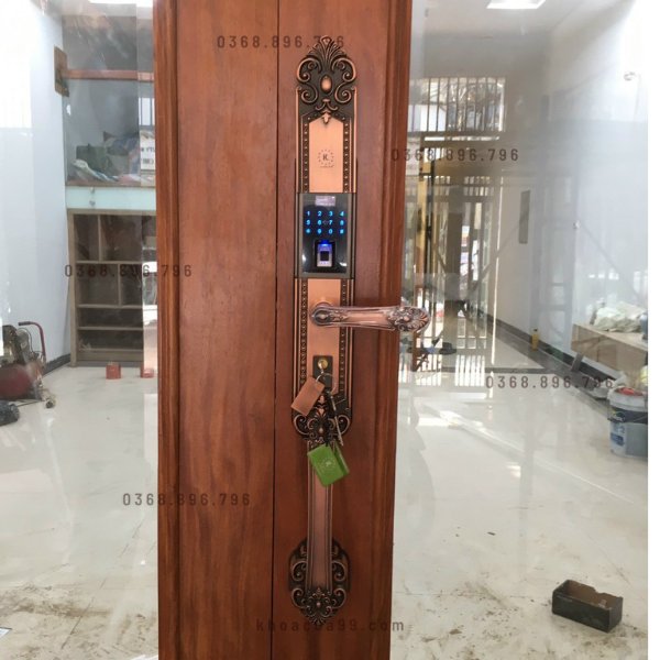 Khóa cửa vân tay tân cổ điển Kassler KL 979R
