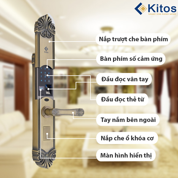Khóa cửa vân tay tân cổ điển Kitos KT C200