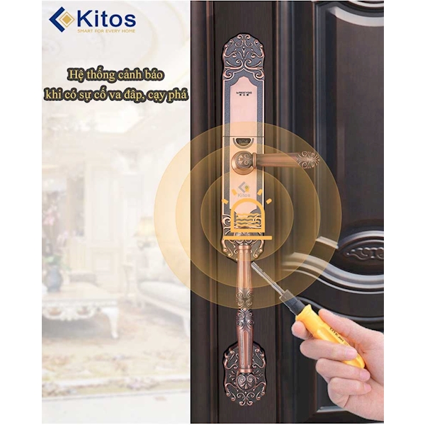 Khóa cửa vân tay Kitos KT C500