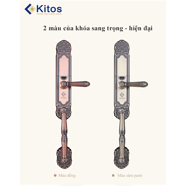 Khóa cửa vân tay Kitos KT C500
