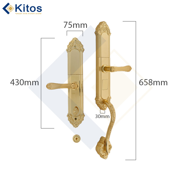 Khóa cửa vân tay tân cổ điển Kitos KT C800