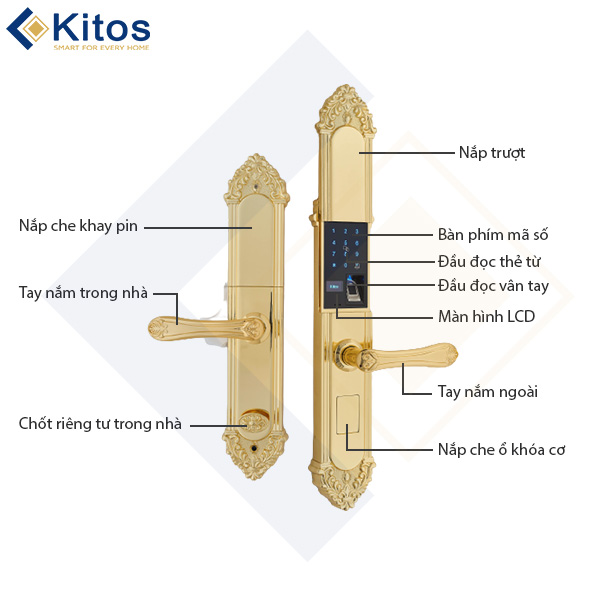 Khóa cửa vân tay tân cổ điển Kitos KT C810