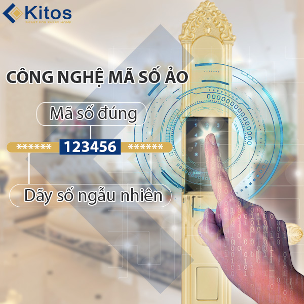 Khóa cửa vân tay tân cổ điển Kitos KT C810