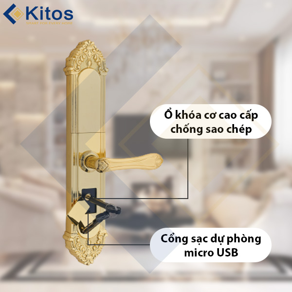 Khóa cửa vân tay tân cổ điển Kitos KT C810
