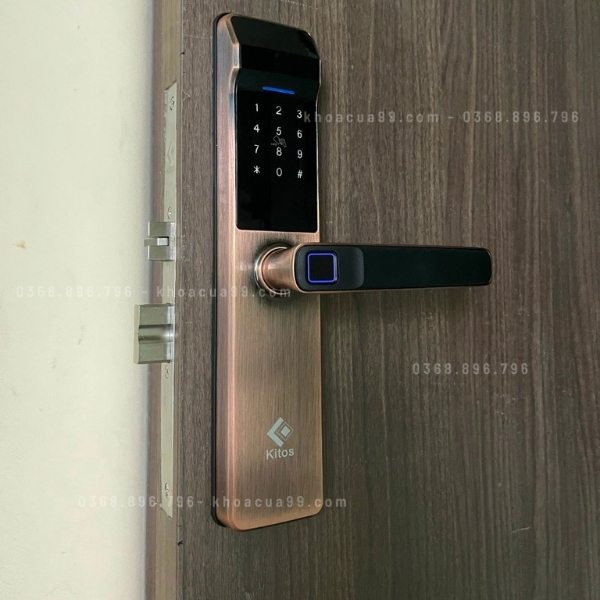 Khóa cửa vân tay Kitos KT G300
