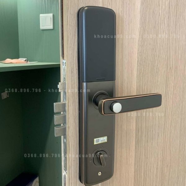 Khóa cửa vân tay Kitos KT G900