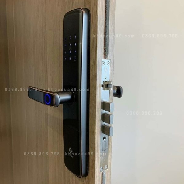Khóa cửa vân tay Kitos KT G900